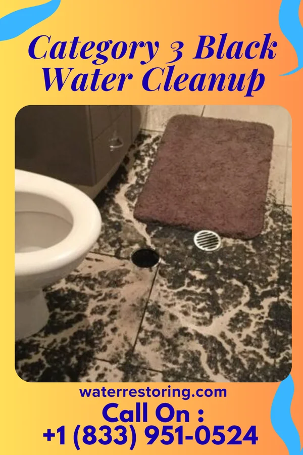 Category 3 Black Water Cleanup in Pearson, GA
