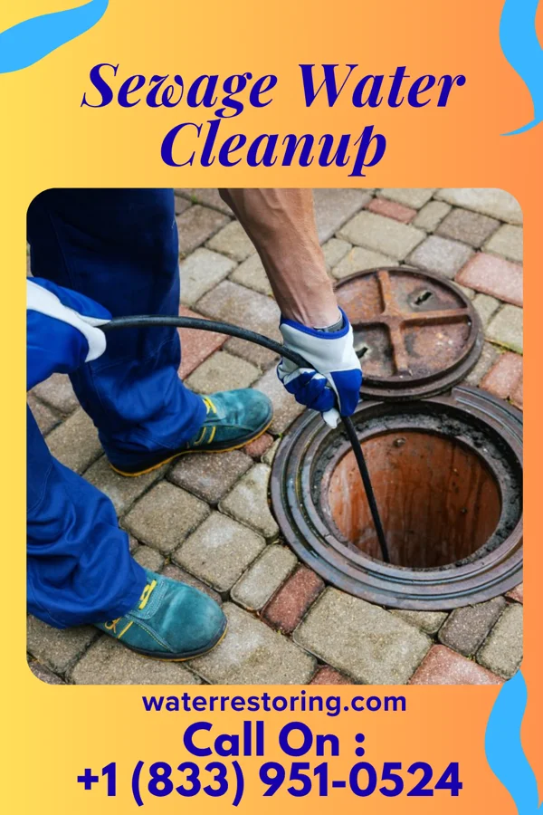 Sewage Water Cleanup in Pearson, GA